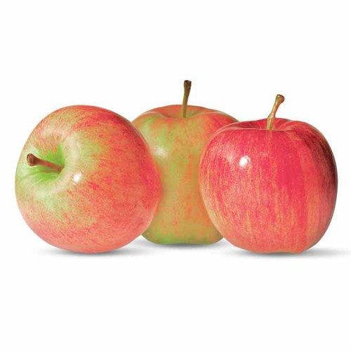 mcintosh apples